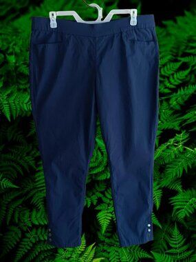 d & co. Signature Womens Pull On Crop Ankle Millennium Pants Blue Size XL